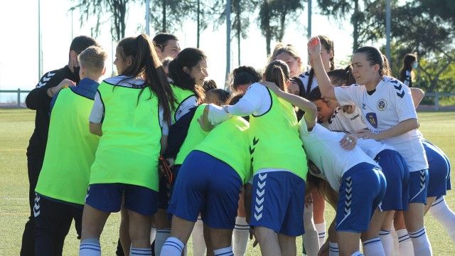 FemeninoA-Laurus